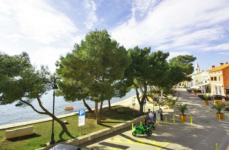 Petra Apartman *